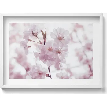 Obraz Dekorativní nástěnný obraz do pokoje Jemné světle růžové květy 70x50 cm