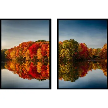 Obraz OBRAZ PLAKÁTY V RÁMU 53x73cm Dyptych Sada 2 obrazů Stromy Podzim P2033