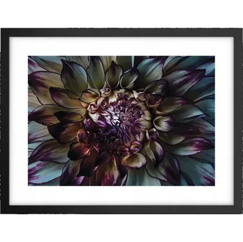 Obraz Obraz plakát v černém rámu do obýváku 40x30 květiny foto plakáty na zeď