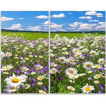 Kuchyňské prkénko Skleněná Ochranná Deska a Krájecí Prkénko | Indukce, Sporák ds-0514