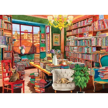 Hračka EUROGRAPHICS Puzzle Stará knihovna 1000 dílků
