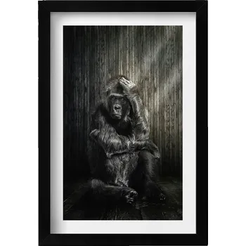 Obraz Obraz v černém rámu dekorace na zeď Přemýšlivá opice ve stínu 20x30 cm