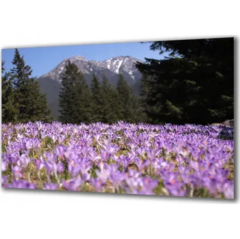 Obraz Obraz na skle Příroda 41257351 100x50