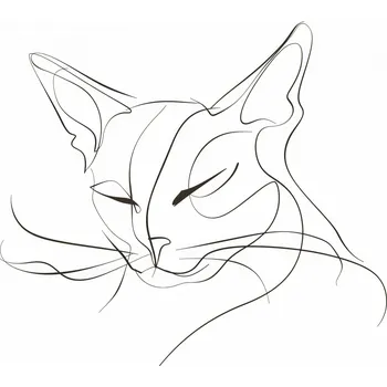 Plakát Plakát Linkovaný Kočka bez rámu 100 x 70 cm