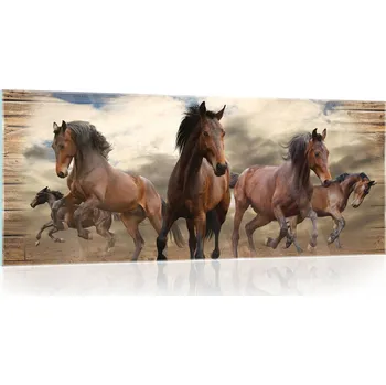 Obraz Skleněný obraz na skle ZVÍŘATA Koně 125x50