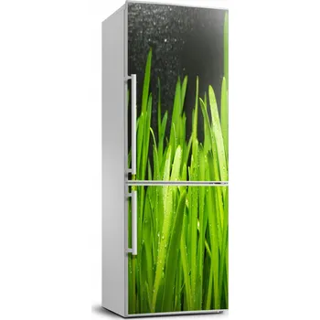 Fototapeta Fototapeta / Samolepka na lednici - Stébla trávy 70x190 cm