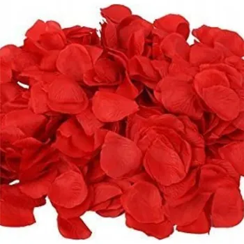 umělá květina OKVĚTNÍ LÍSTKY RŮŽÍ MEDVÍDEK GIFTBOX RŮŽOVÝ MEDVĚD VALENTÝN 300 ks