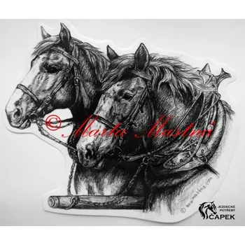 Žertovný předmět Samolepka -CHLADNOKREVNÍCI-