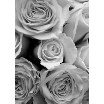 Obraz Plakát Detail kytice růží bez rámu 21 x 29,7 cm