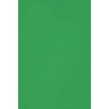 Kancelářský papír Barevný kartonový papír 250g zelený - 10 listů formátu SRA3