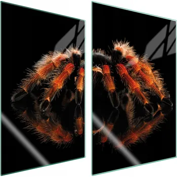 Obraz Krájecí deska TMK ArtDeko sklo 2 ks