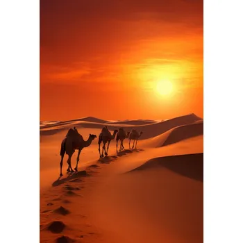 Plakát Plakát Karavana v poušti bez rámu 61 x 90,5 cm
