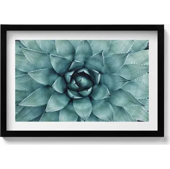 Obraz Nástěnný obraz v černém rámu s grafikou Zelená rostlina sukulent 60x40 cm
