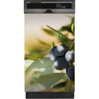 Obraz Foto-magnet na myčku Rostoucí olivy 45x70 cm