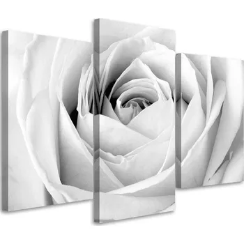 Obraz OBRAZ TRYPTYCH Bílá Růže Květiny 60x40