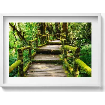 Obraz Obraz v bílém rámu na zeď Dřevěný chodník - agroturistika 70x50 cm