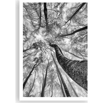 Obraz Plakát na zeď bez rámu 70x100 les foto-obraz plakáty do obývacího pokoje ložnice