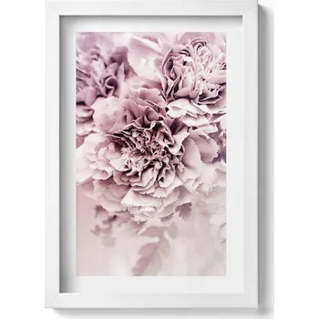Obraz Dekorace, obraz s grafikou v krásném rámu - Bledě růžové pivoňky, okvětní lístky, 20x30 cm
