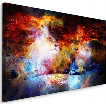 Obraz Obraz do Ložnice LEV Vesmír Nebe Hvězdy 70x50