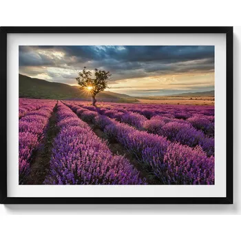 Obraz Dekorativní nástěnný obraz v rámu s grafikou loft Krajina levandulového pole 80x60 cm