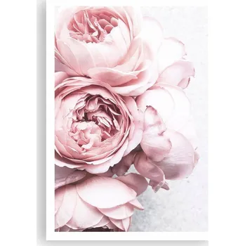 Obraz Plakát na zeď bez rámu 70x100 květiny obraz plakáty do obývacího pokoje ložnice