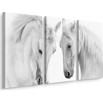 Obraz Obraz Triptych Bílí KONĚ Zvířata Příroda 60x40
