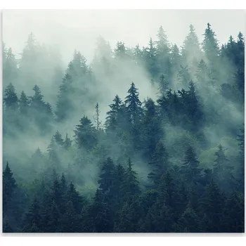 Kuchyňské prkénko Skleněná Ochranná Deska a Krájecí Prkénko | Indukce, Sporák ds-0474