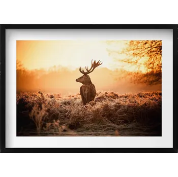 Obraz Obraz s černým rámem a grafikou na zeď Jelen při východu slunce 70x50 cm