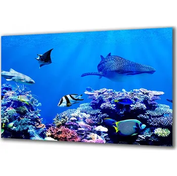 Obraz Obraz na skle Akvaristika 251490668 140x70