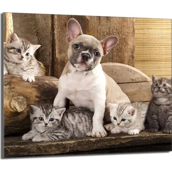 Kuchyňské prkénko Krájecí deska TMK ArtDeko sklo 1 ks