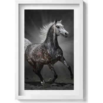 Obraz Dekorativní nástěnný obraz v bílém rámu s grafikou loft - Cvalající kůň 40x60 cm