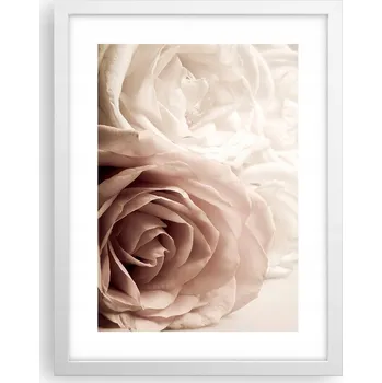 Obraz Obraz plakát v bílém rámu do obýváku 30x40 růže foto plakáty na zeď