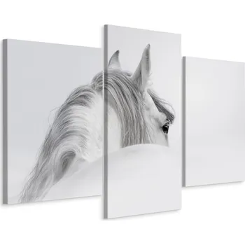 Obraz Obraz Tryptych Bílý KŮŇ v Mlze Zvíře 3D 60x40