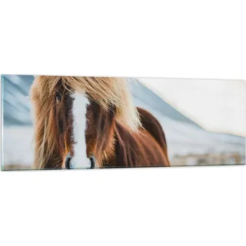 Obraz Obraz na skle do obýváku ložnice 90x30 kůň foto obrazy na zeď sklo