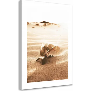 Obraz OBRAZ NA PLÁTNĚ Květina v poušti CANVAS 40x60