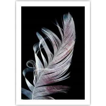 Obraz Plakát bez rámu do obýváku ložnice 50x70 ptačí pero moderní obraz