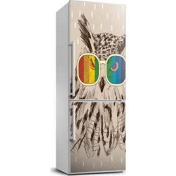 Fototapeta Samolepka na lednici - Sova v brýlích 70x190 cm