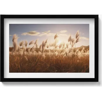 Obraz Moderní nástěnná dekorace Romantický západ slunce nad trávou 60x40 cm