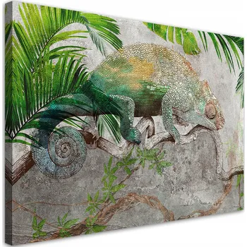 Obraz Obraz na plátně, Chameleón na větvi v džungli 60x40