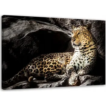 Obraz OBRAZ NA PLÁTNĚ Obraz na plátně Leopard na skalách 90x60