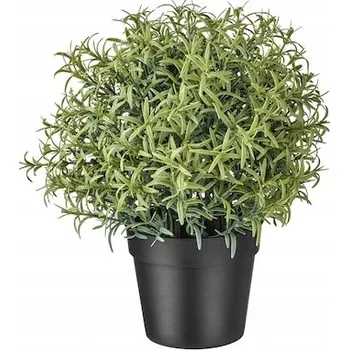 umělá květina IKEA FEJKA Umělá rostlina v květináči, rozmarýn