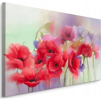 Obraz Obraz do Ložnice Barevné Vlčí Máky AKVAREL 70x50