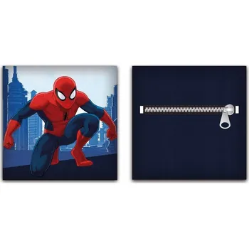 Polštář Dečka twm 35 x 35 cm modrá Spider-Man