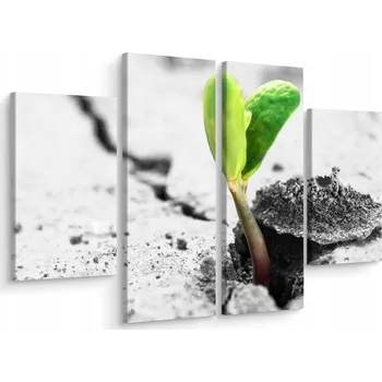 Obraz Čtyřdílný obraz ROSTLINA Beton Příroda 3D 200x150