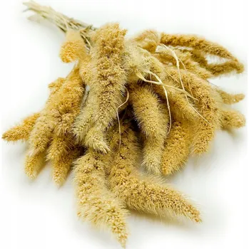 umělá květina Bělice (Setaria) Bělená - kytice