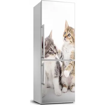 Fototapeta Samolepka na lednici Dva malí kocouři 70x190