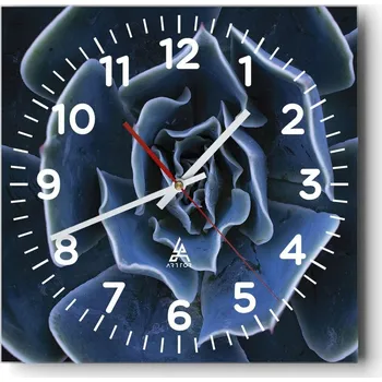 Hodiny Nástěnné hodiny do obýváku 40x40 Květ Agáve Tiché hodiny na skle Bez hlučný chod