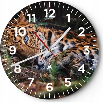 Hodiny Velké nástěnné hodiny na zeď 40x40 Leopardí vzor, skleněné hodiny Kulatý Tiché
