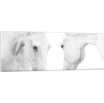 Obraz Obraz na skle do obýváku ložnice 90x30 koně foto obrazy na zeď sklo