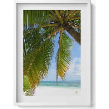 Obraz Elegantní obraz v bílém rámu Pláž palma oceán dovolená 50x70 cm